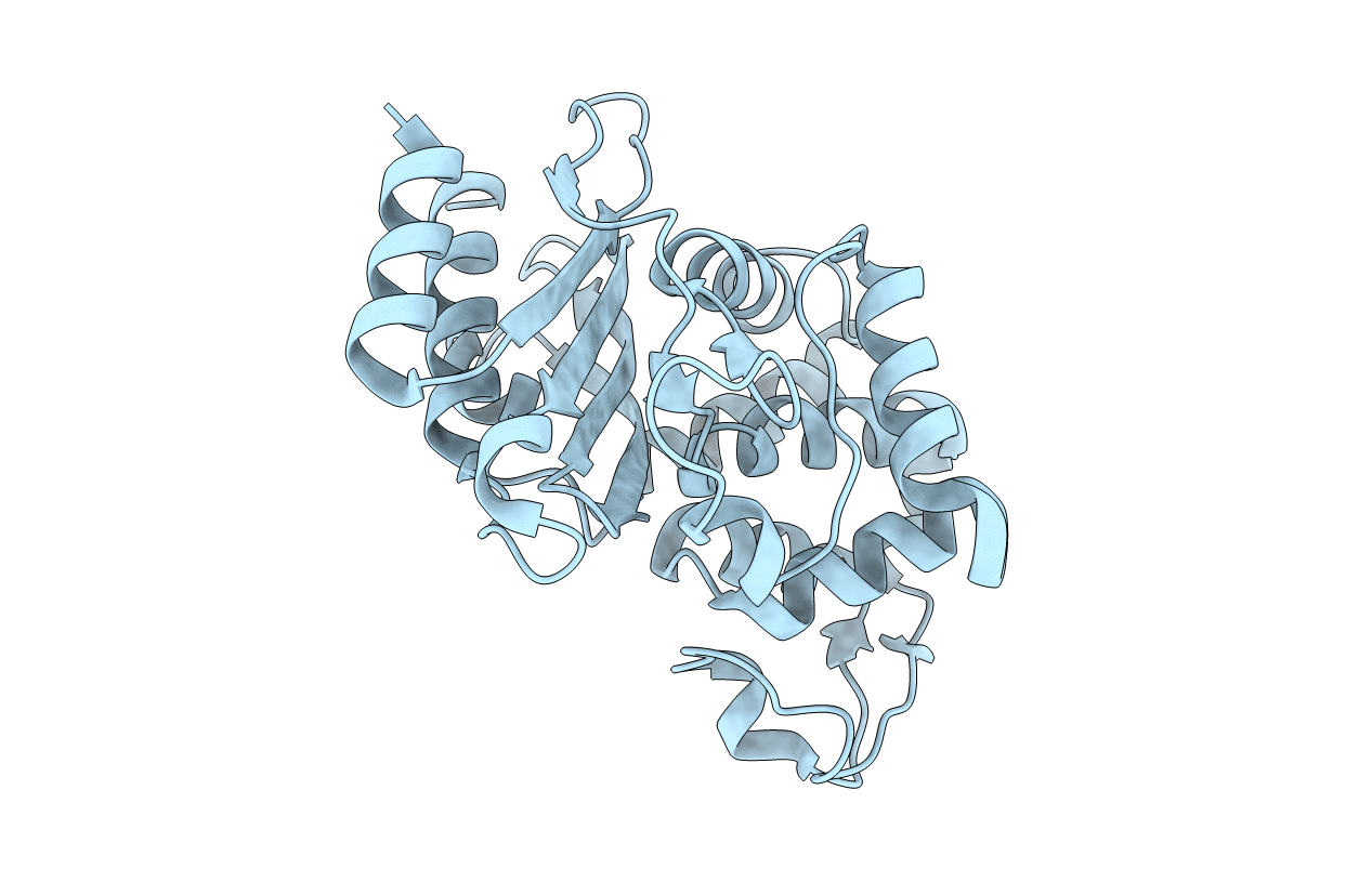 6B6B image