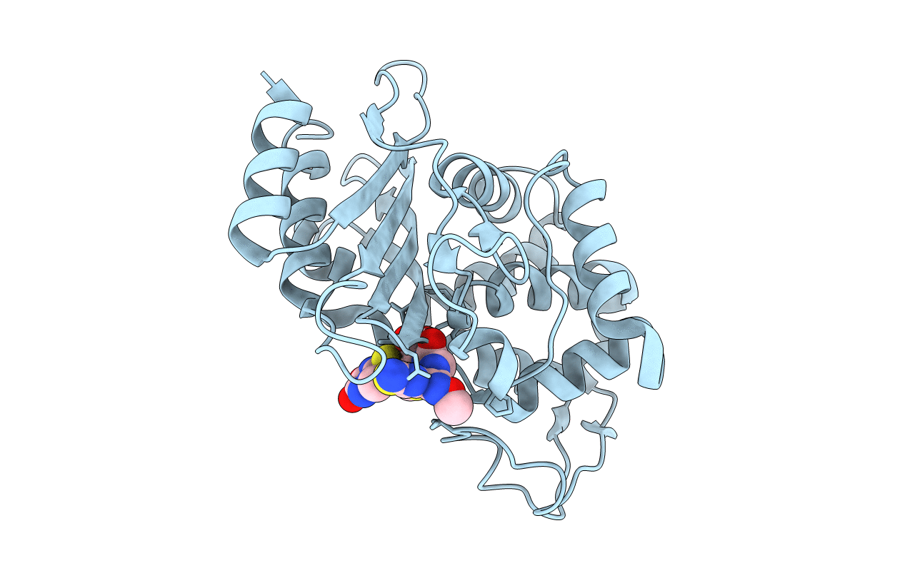 6B6F image