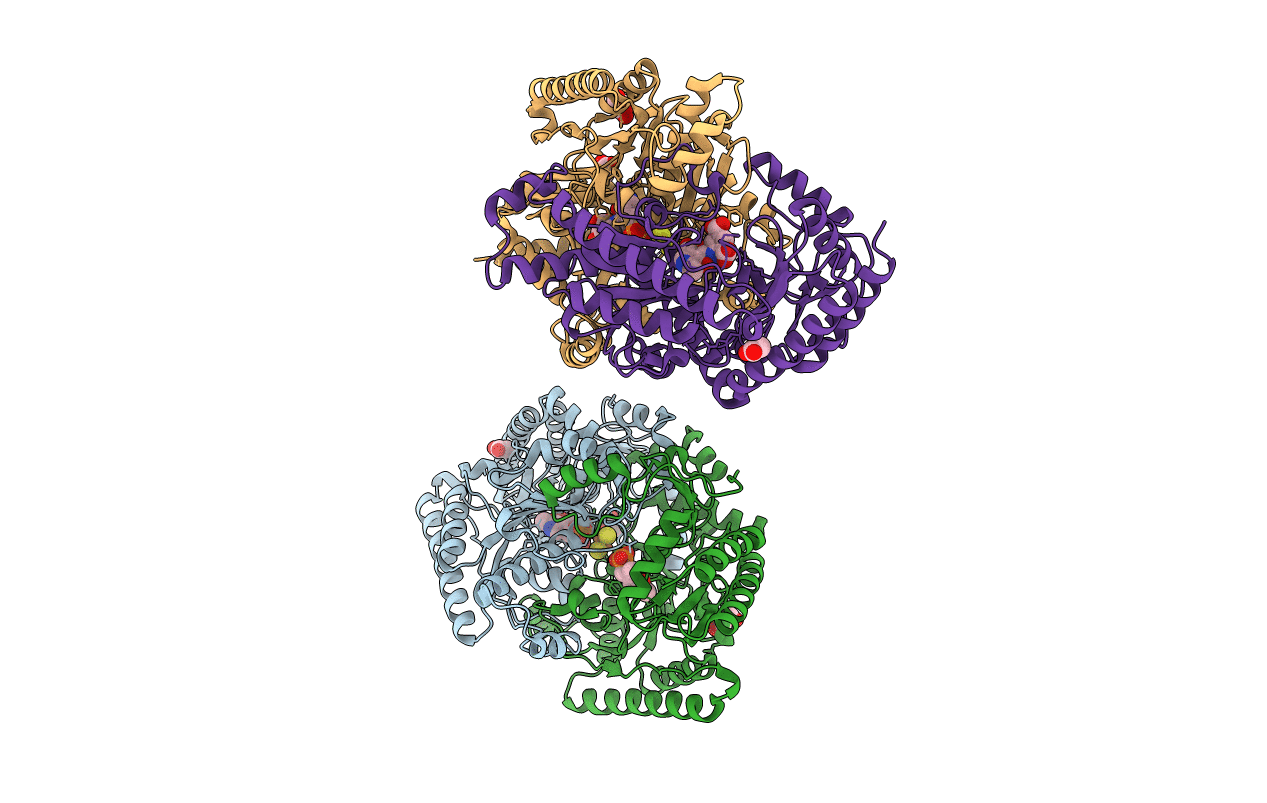 6B6G image