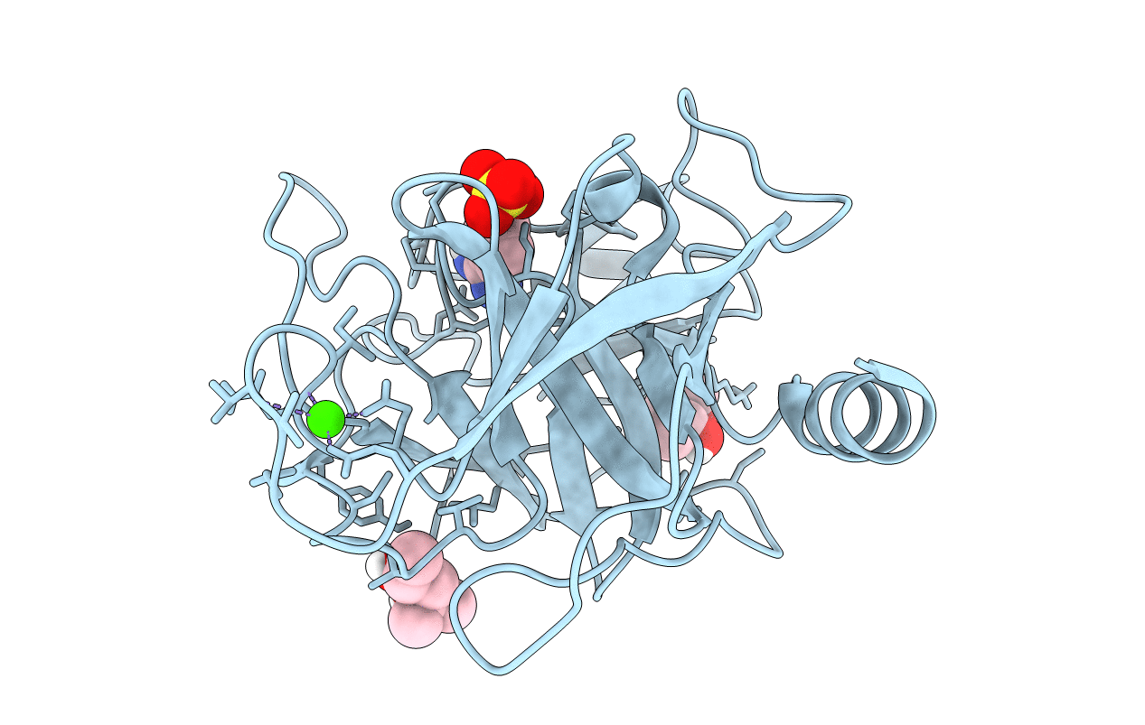 6B6N image