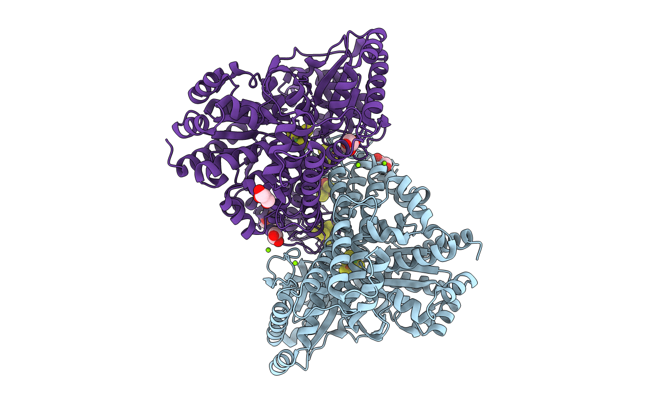 6B6X image