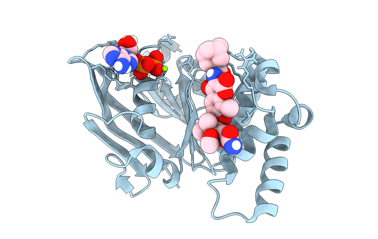 6B8B image