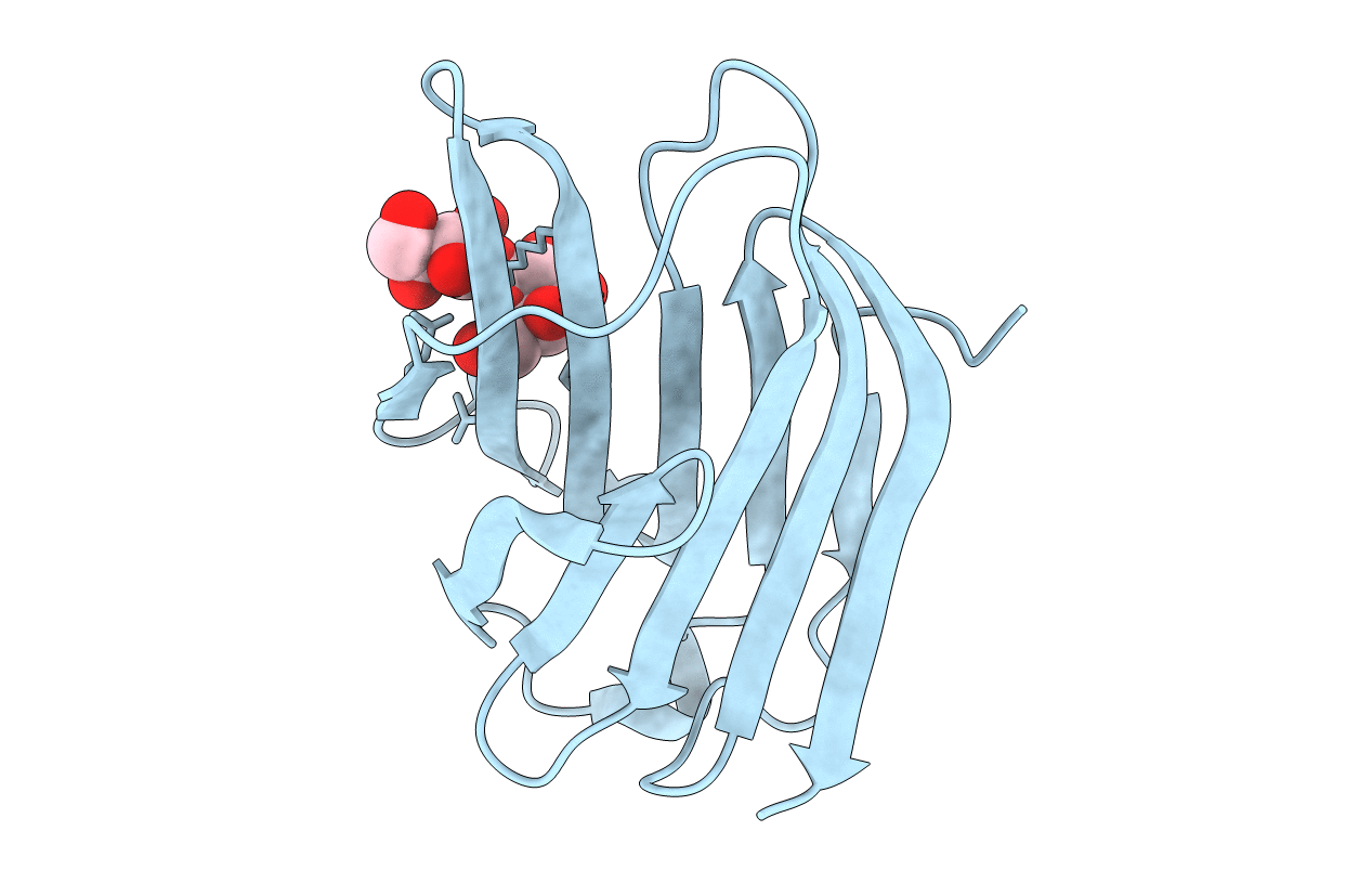 6B8K image