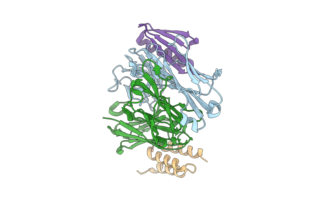 6B9Z image