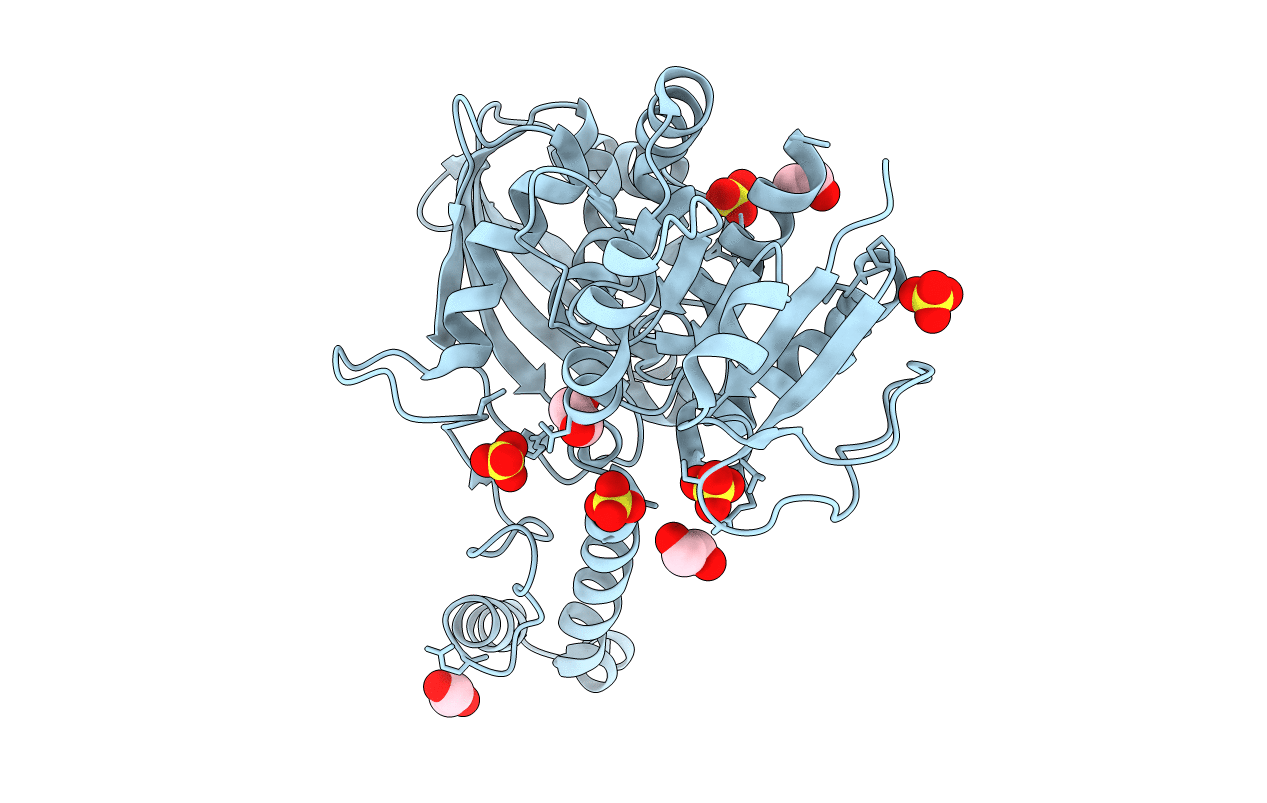 6BAC image