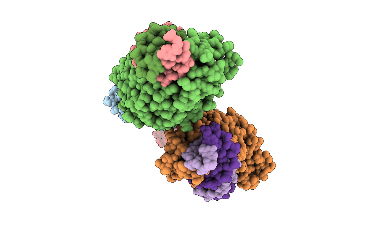 6BCF image