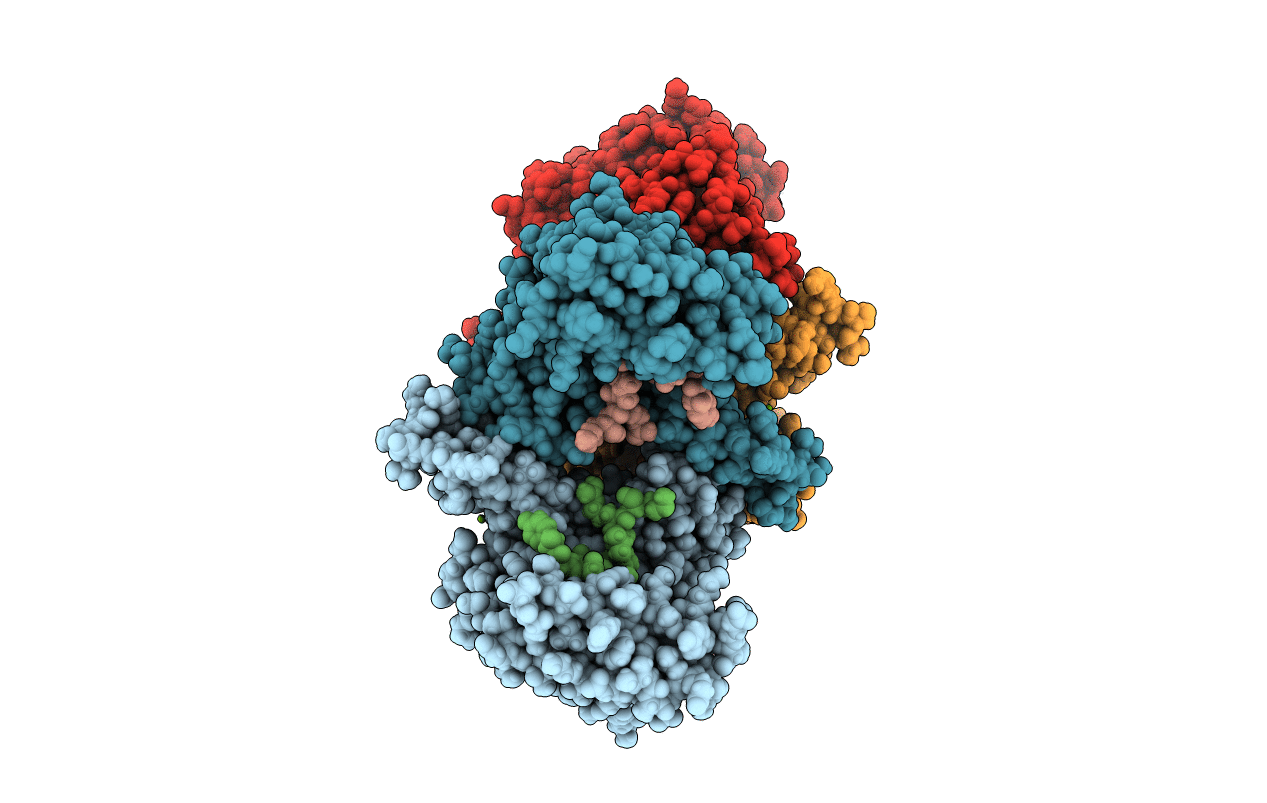 6BCR image