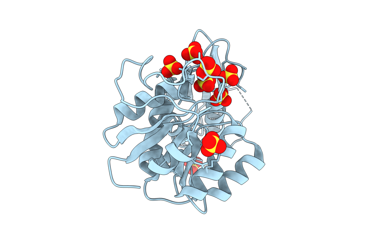 6BDX image