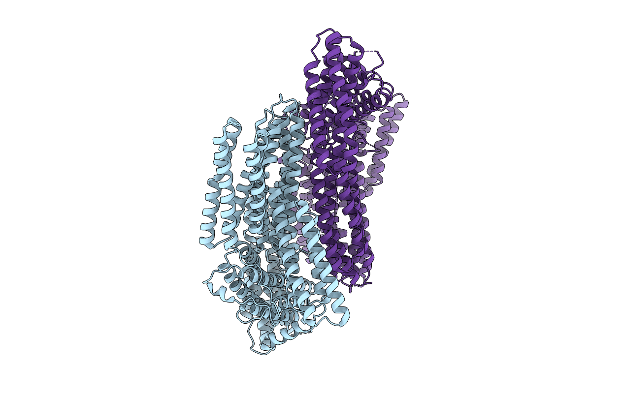 6BFI image