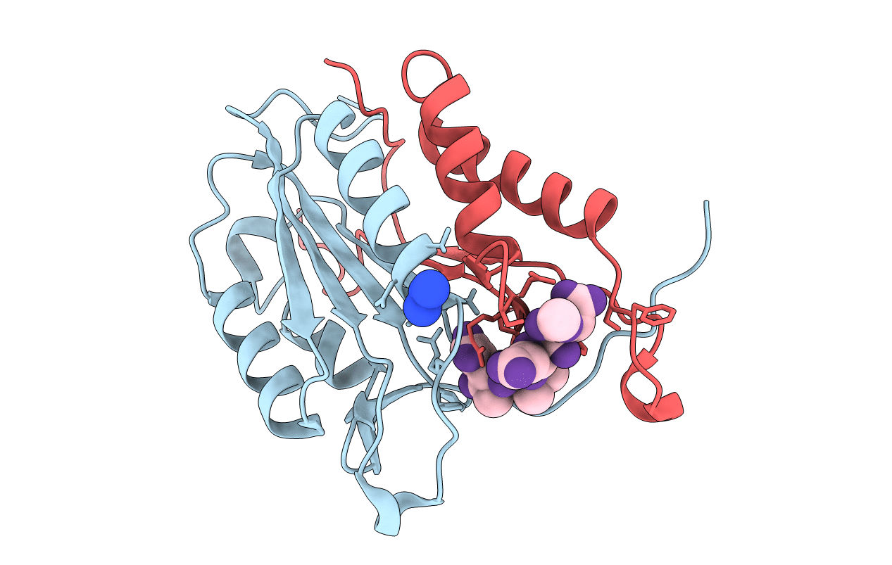 6BFL image