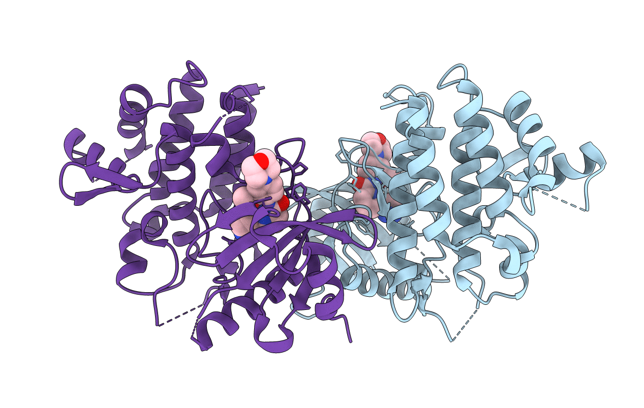 6BFN image