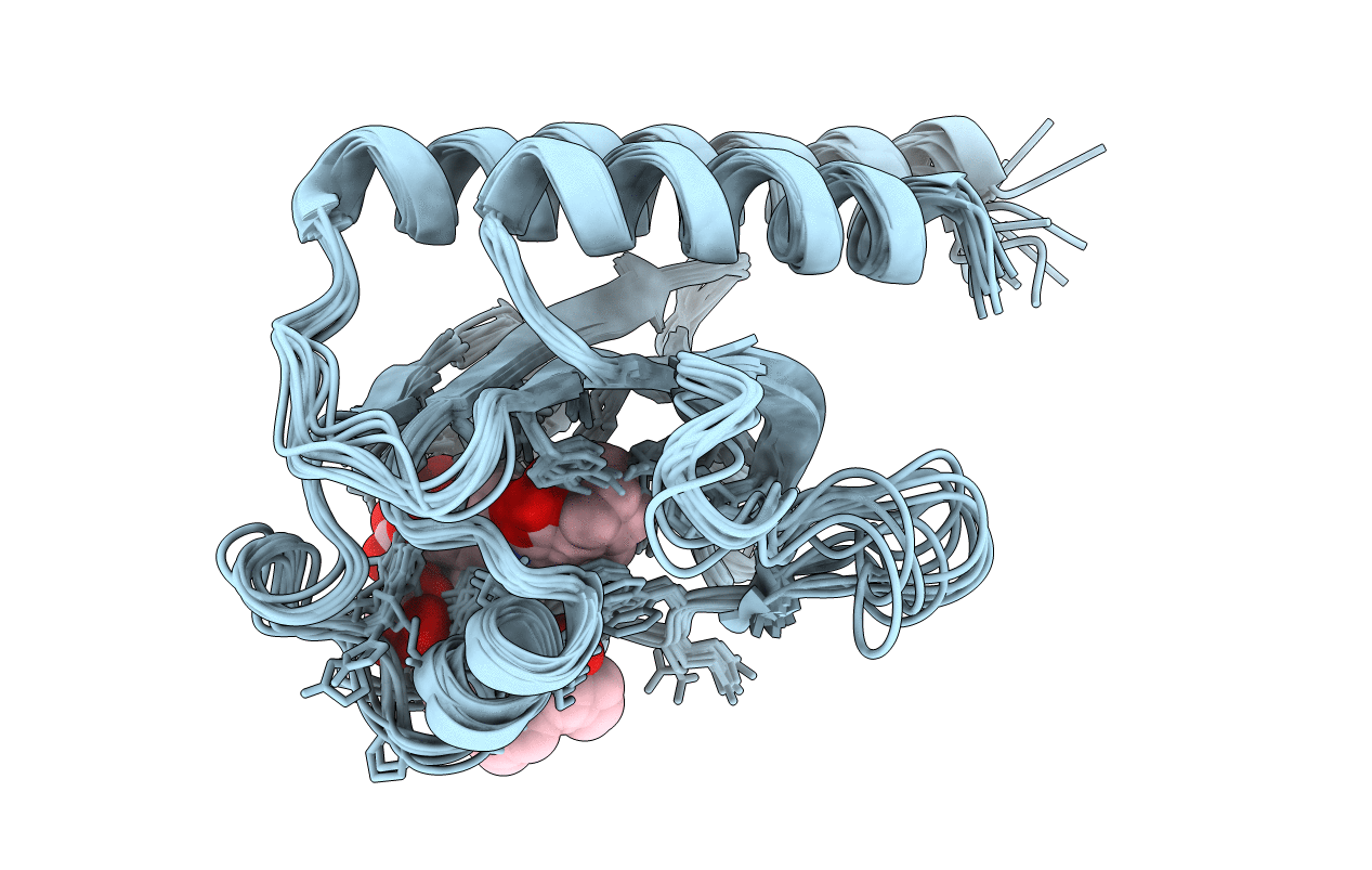 6BHN image