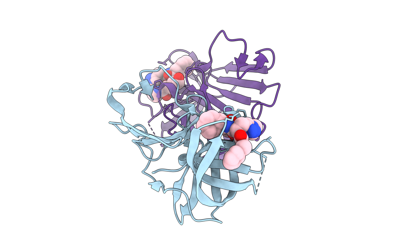 6BIB image