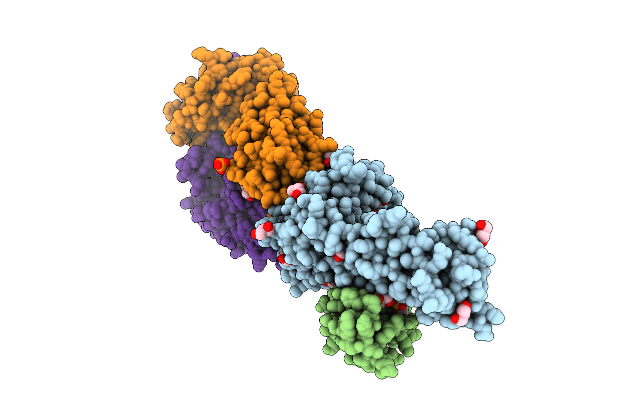 6BJ8 image