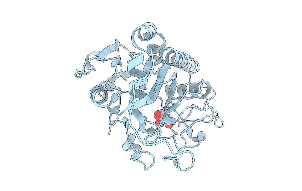 6BJL image