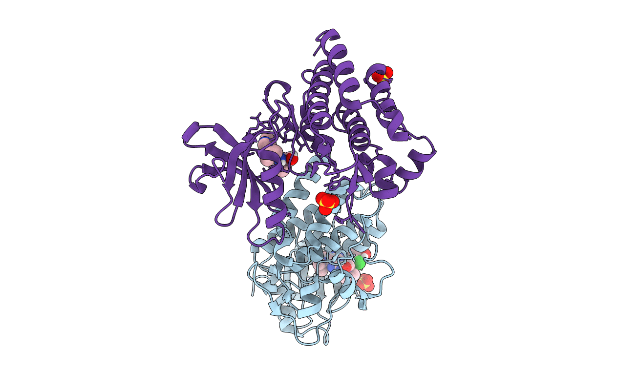 6BL8 image