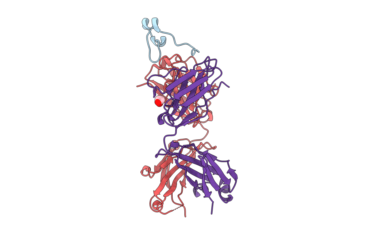 6BLH image