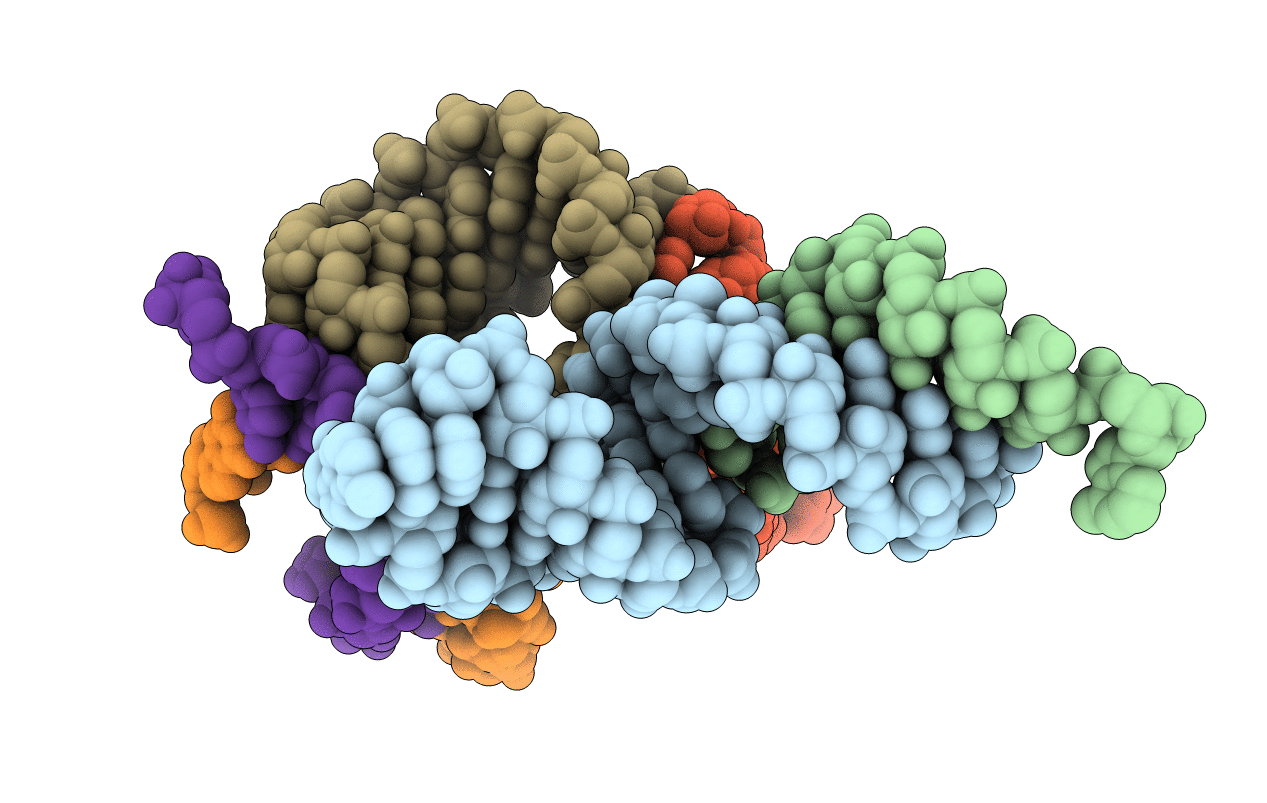 6BMD image