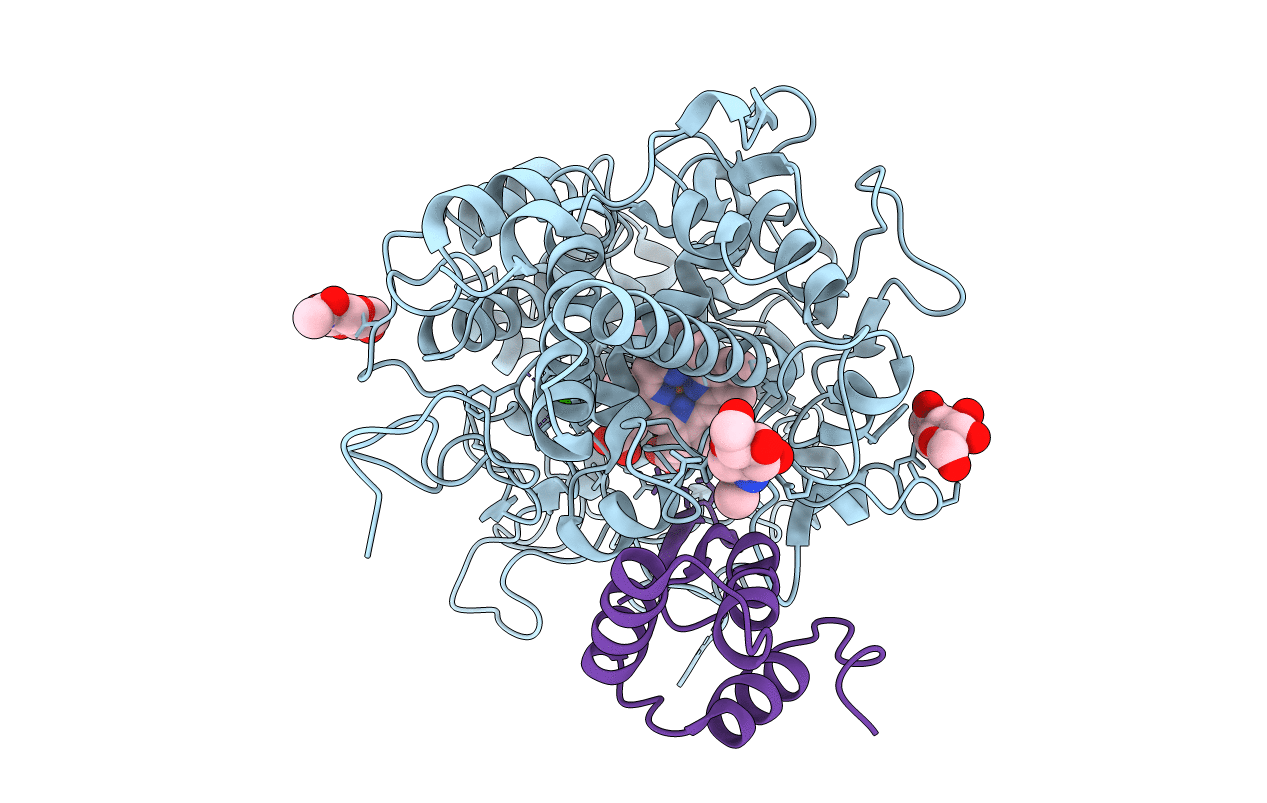 6BMT image