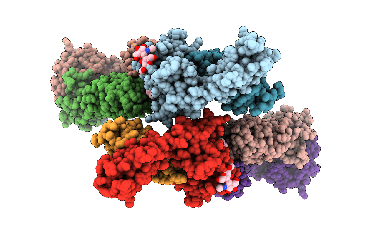 6BNL image