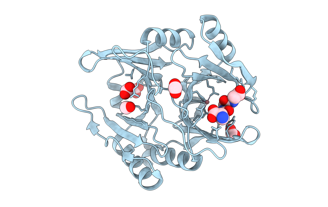 6BNZ image