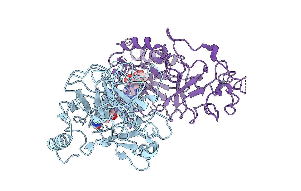 6BP4 image