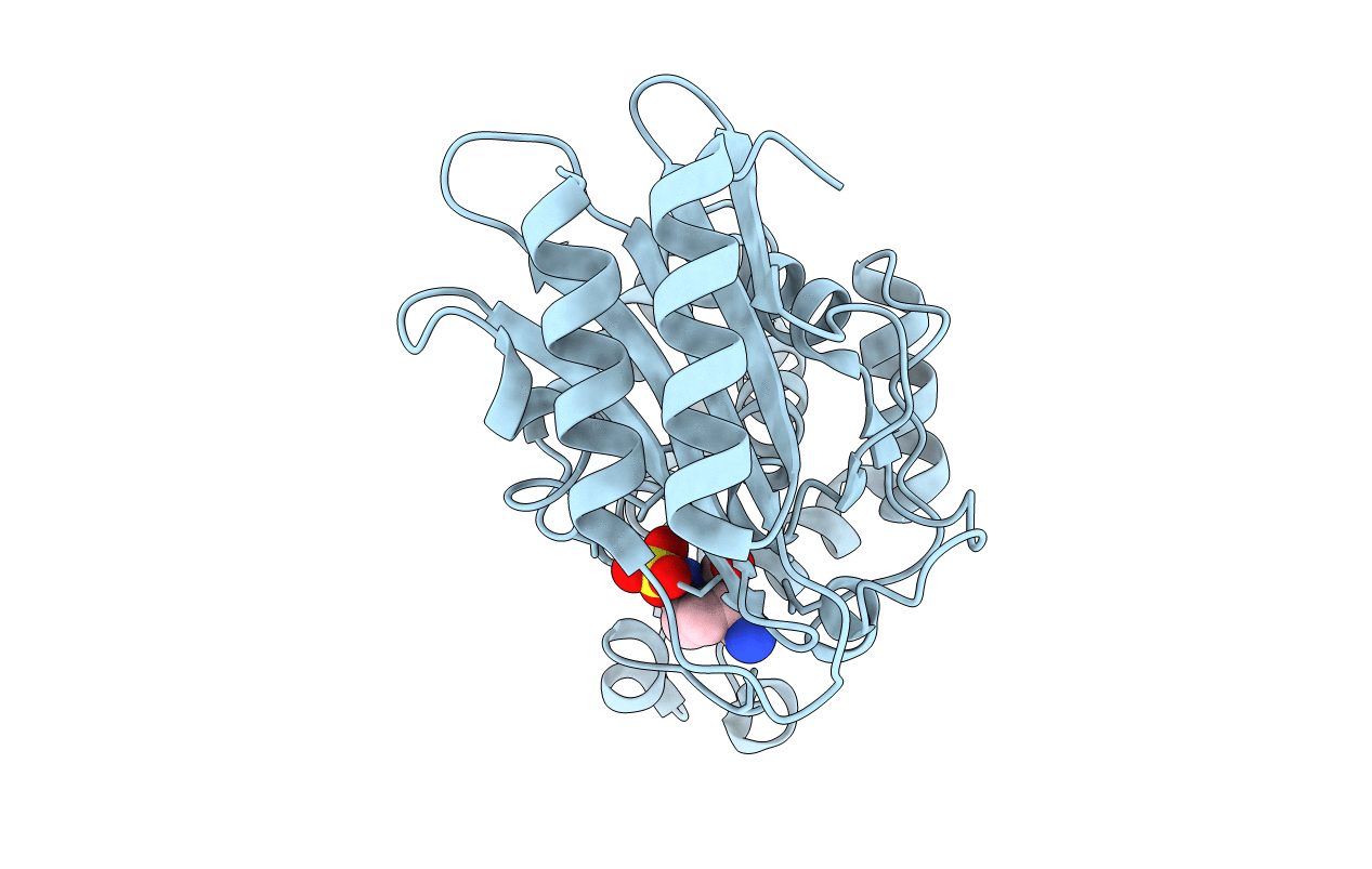 6BPF image