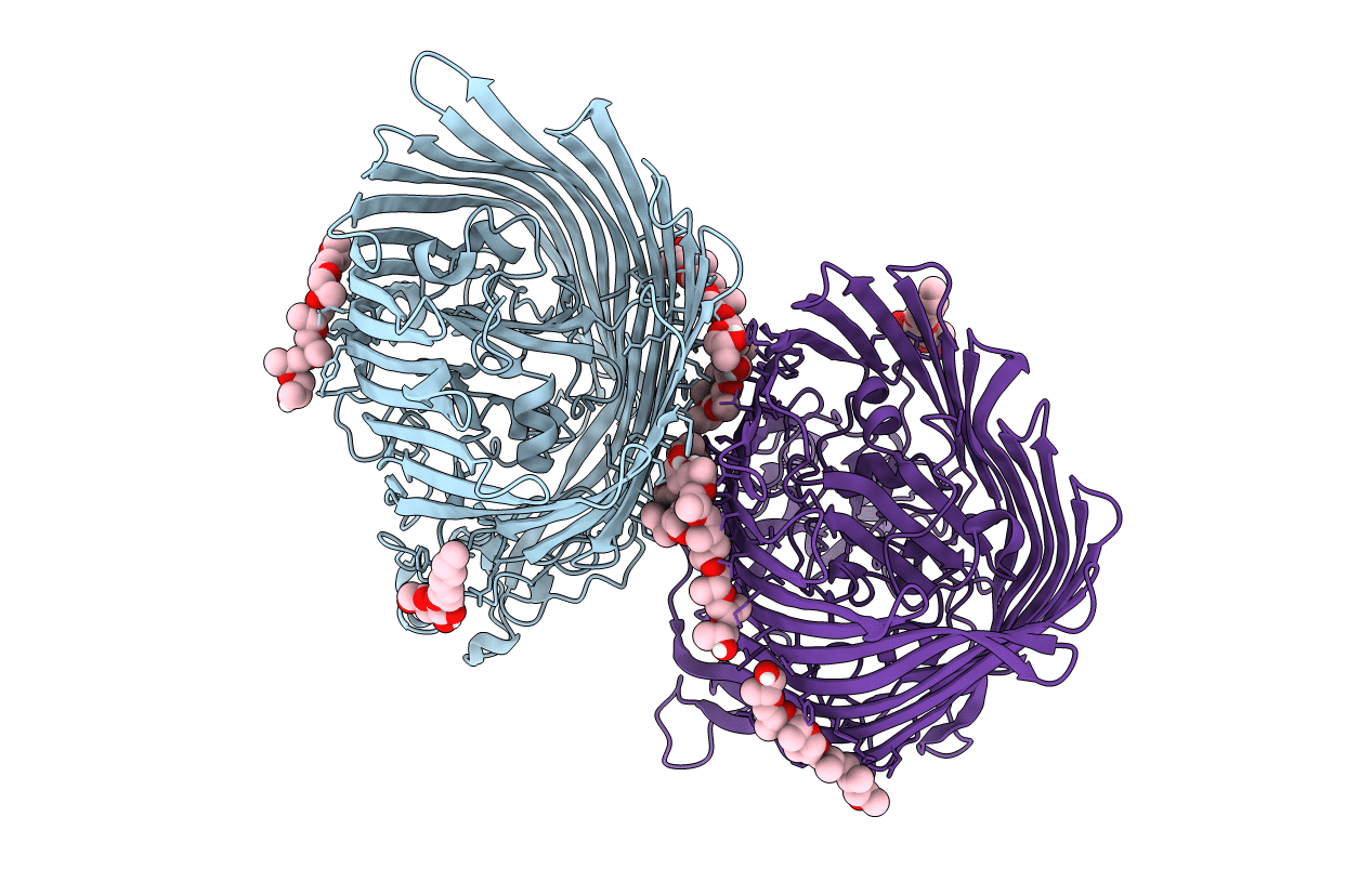 6BPM image