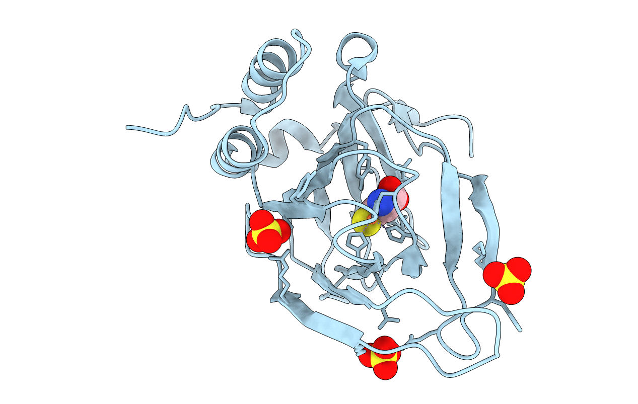 6BPV image