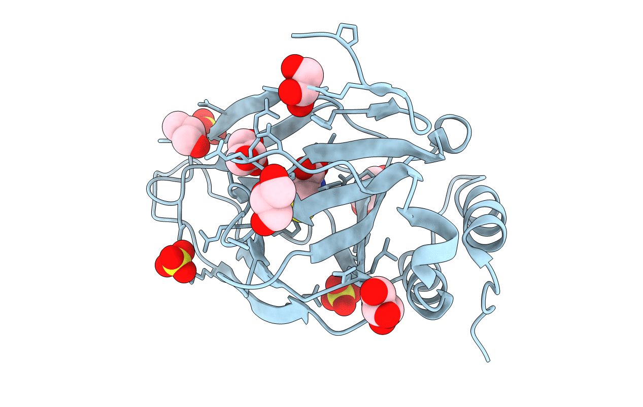 6BPX image