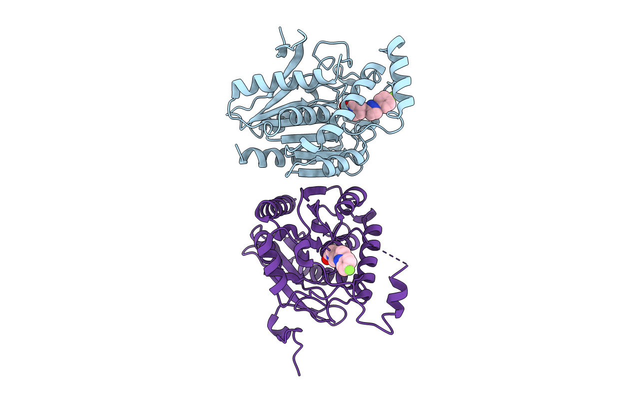 6BQ0 image