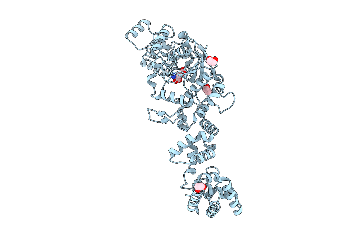 6BRL image