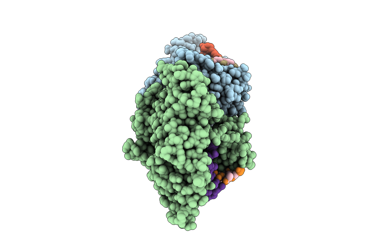 6BRX image