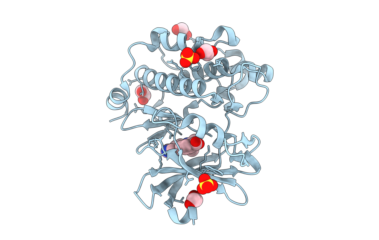 6BSK image