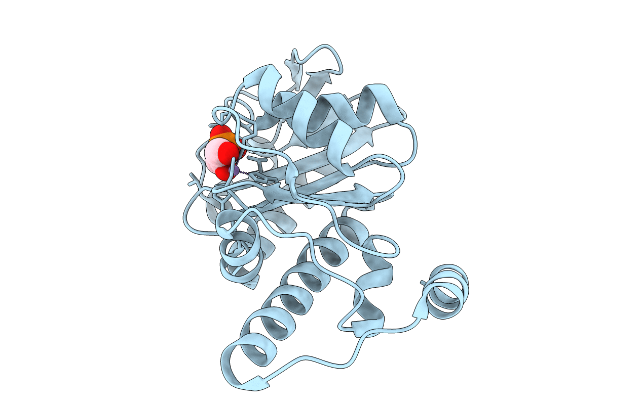 6BTG image