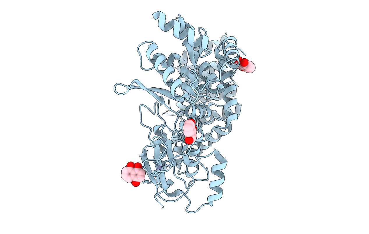 6BV6 image