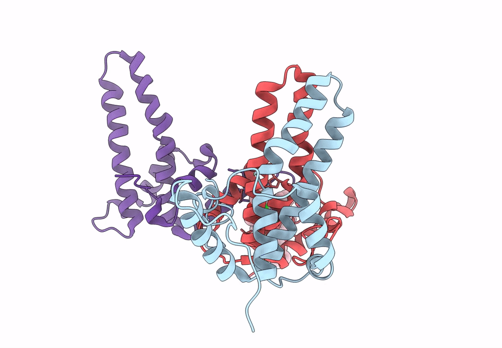 6BVN image