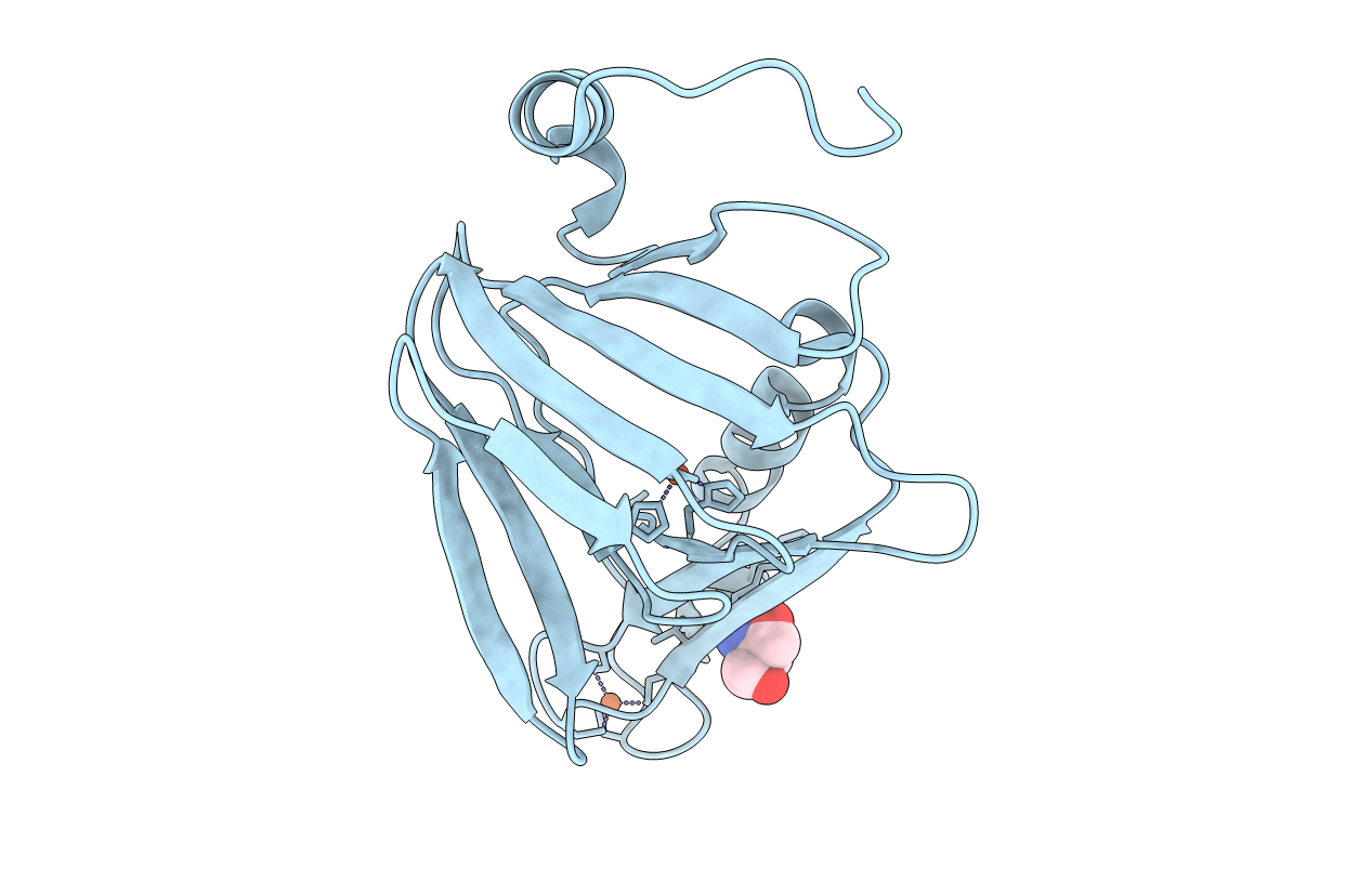 6BVP image