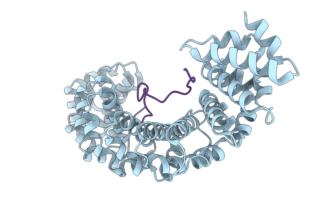 6BVV image