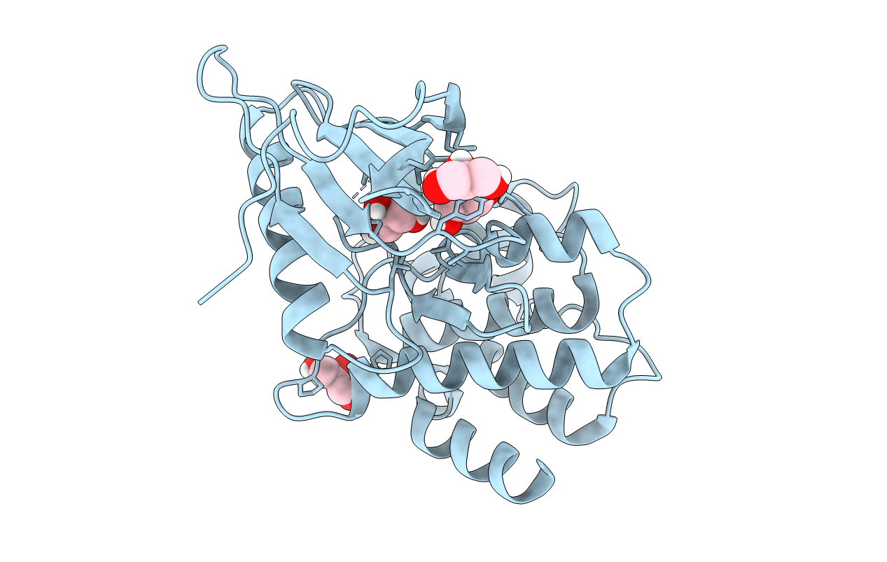 6BWK image