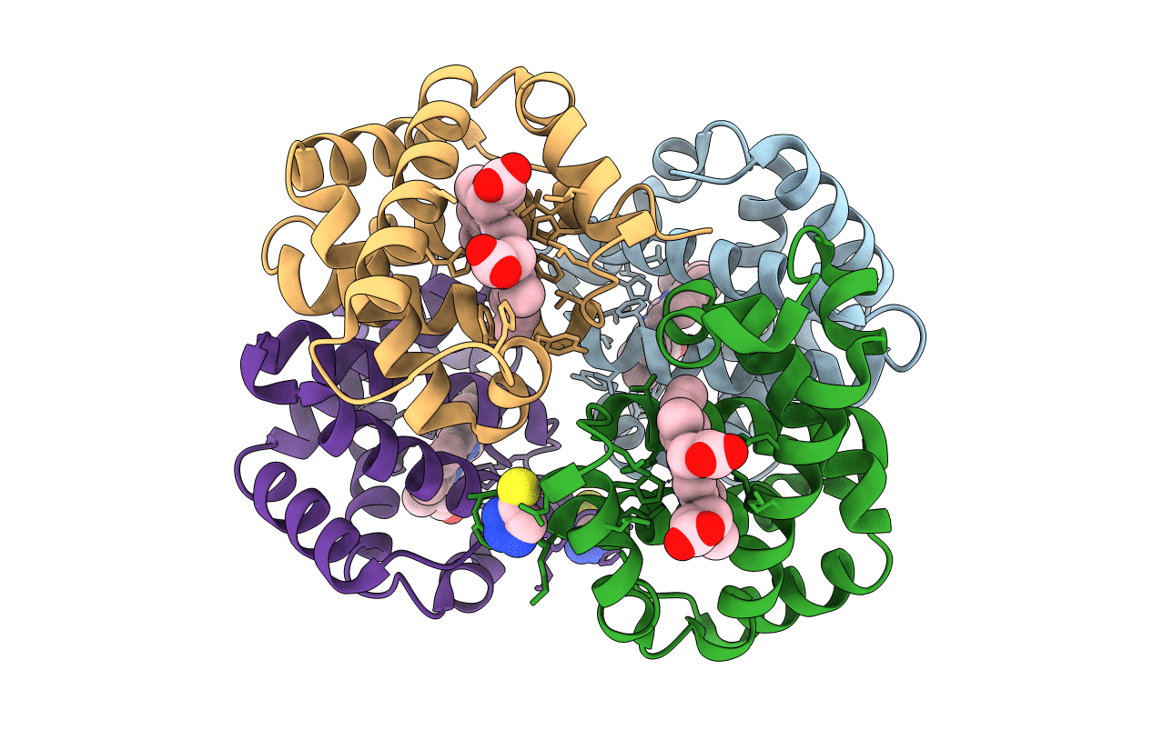 6BWP image