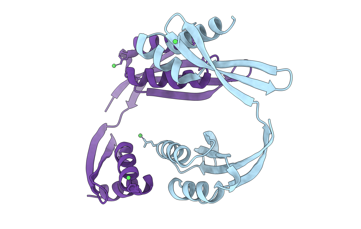 6BWR image