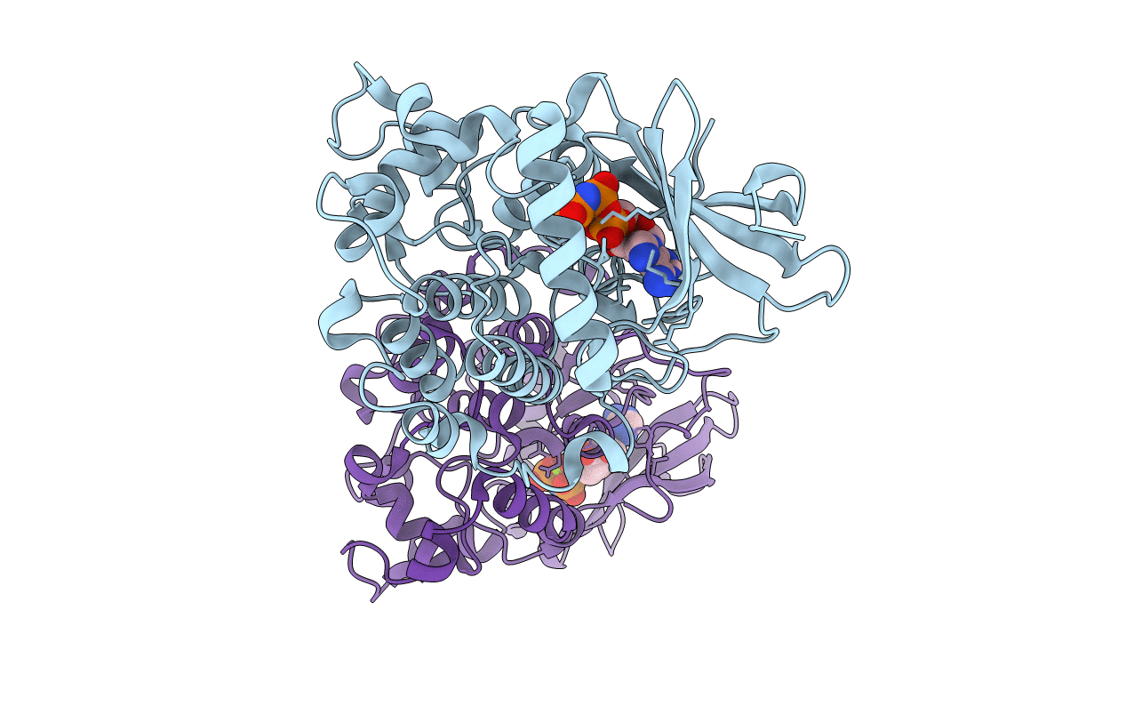 6BXI image