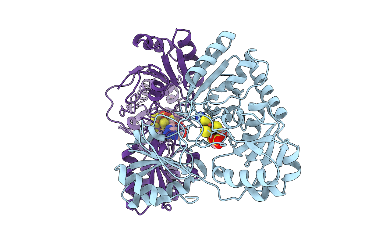 6BXK image