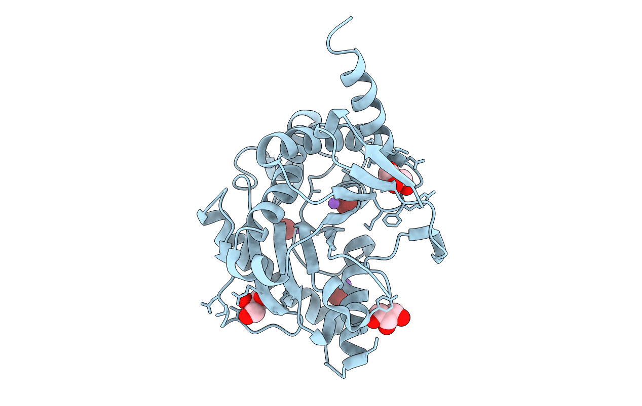 6BXR image