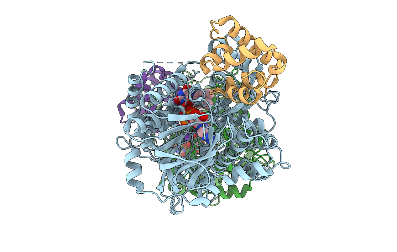 6C12 image