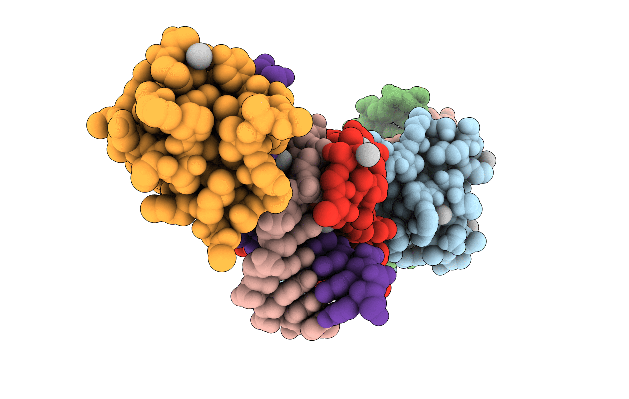 6C1A image