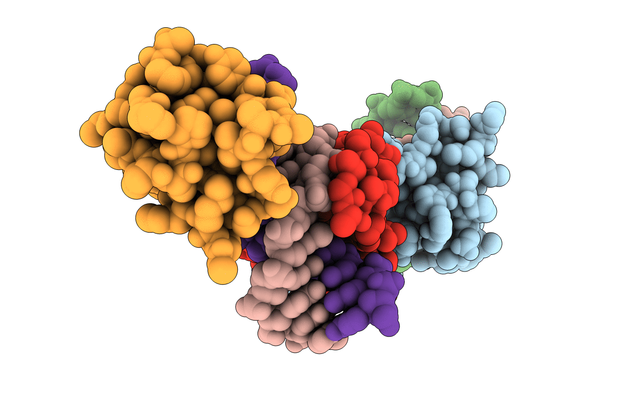 6C1V image