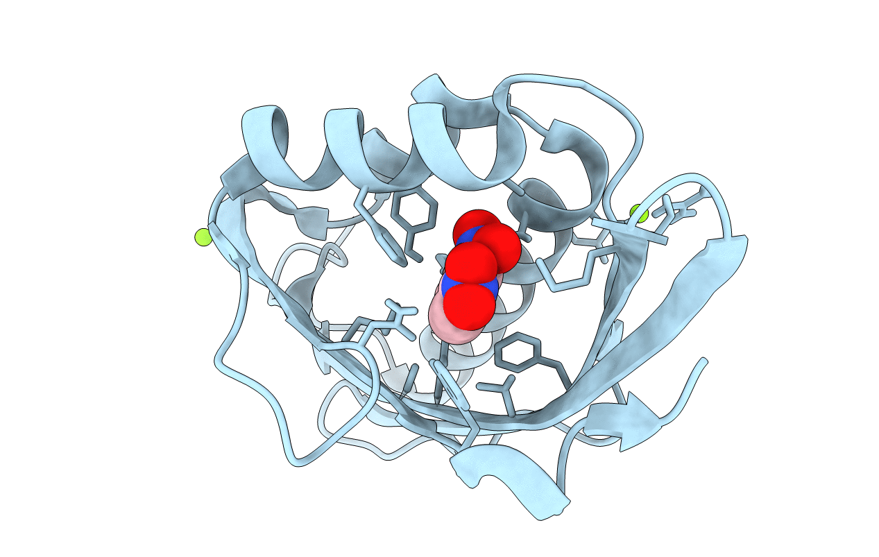6C1X image