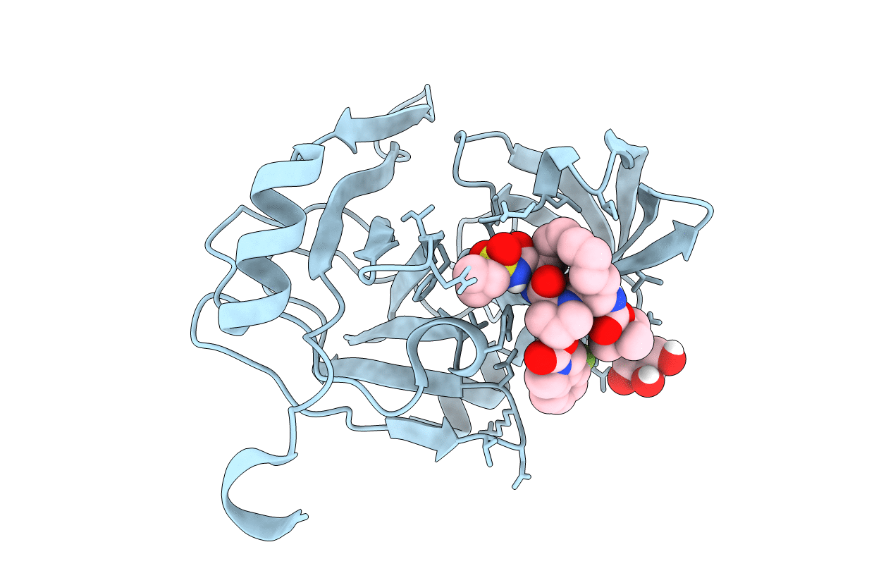 6C2O image